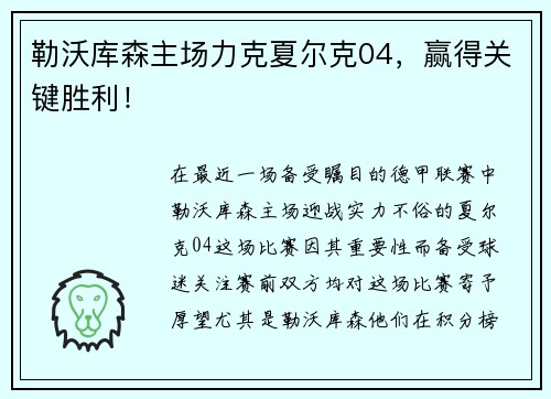 勒沃库森主场力克夏尔克04，赢得关键胜利！